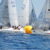 Mandello. Circuito nazionale J24: la vela protagonista sul Lago di Como